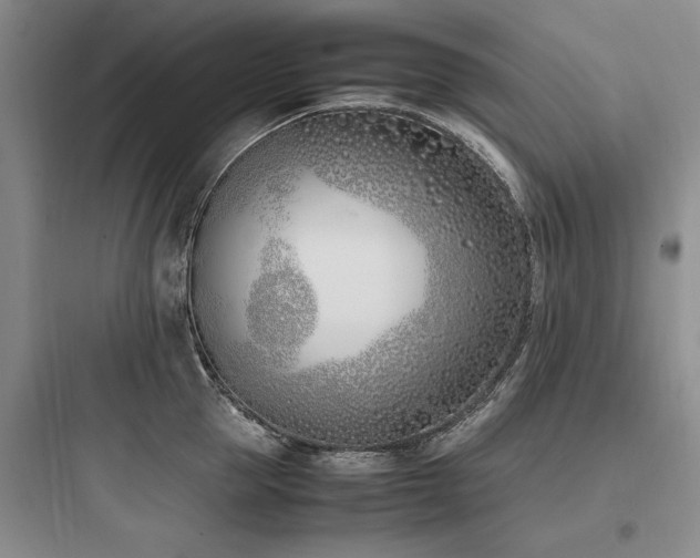 X0000097980953200803241256
