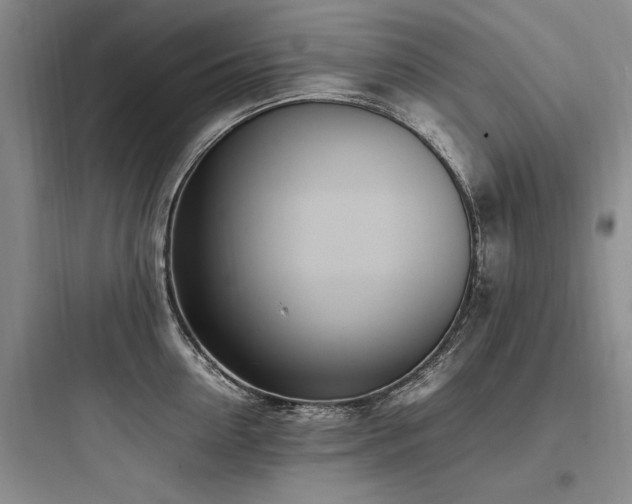 X0000097980954200803241256