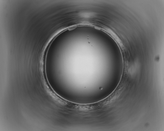 X0000097980955200803241256