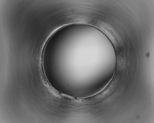 X0000097980956200803241256