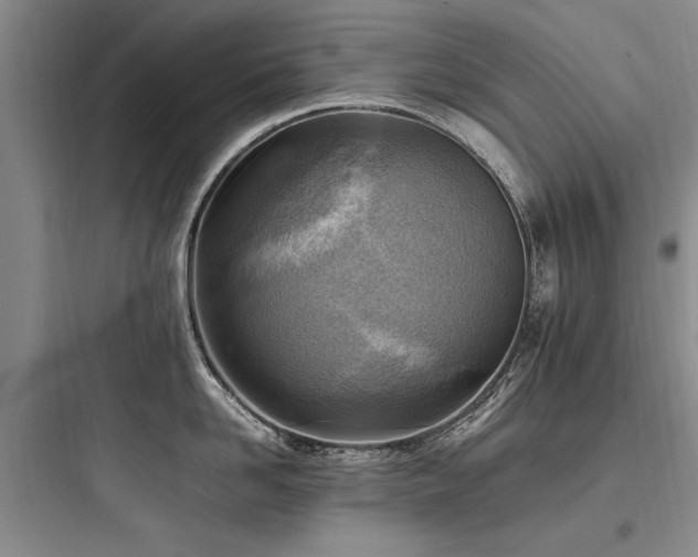 X0000097980958200803241256