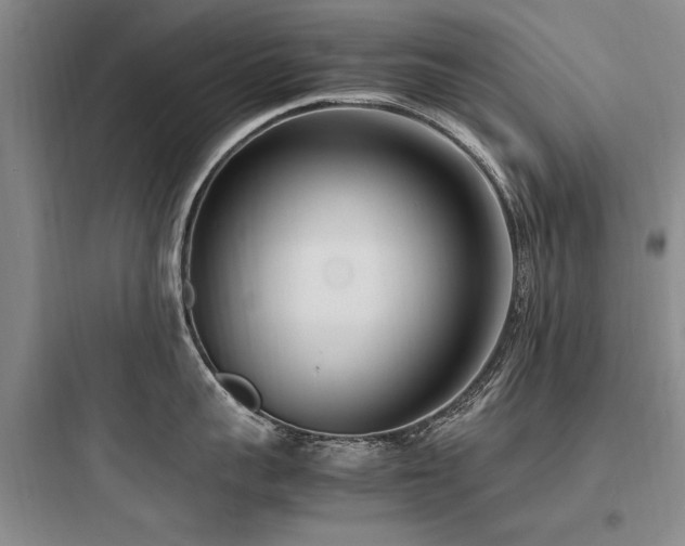 X0000097980959200803241256