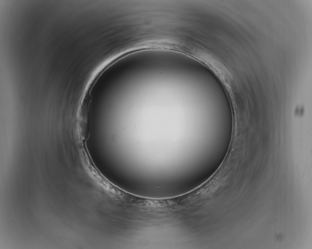 X0000097980960200803241256