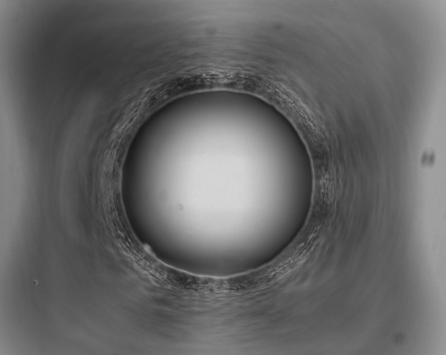 X0000097980961200803241255