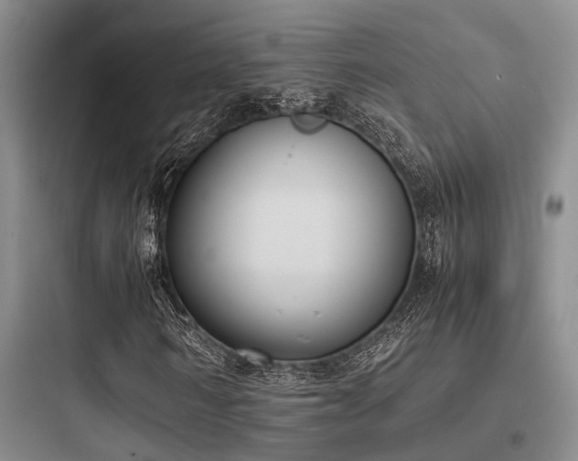 X0000097980962200803241255
