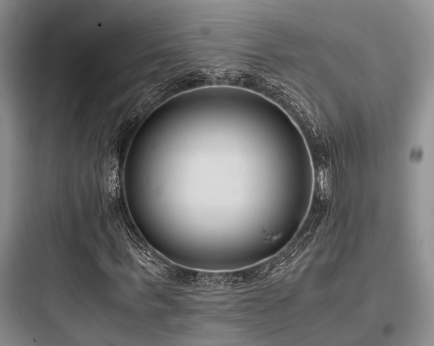X0000097980963200803241255
