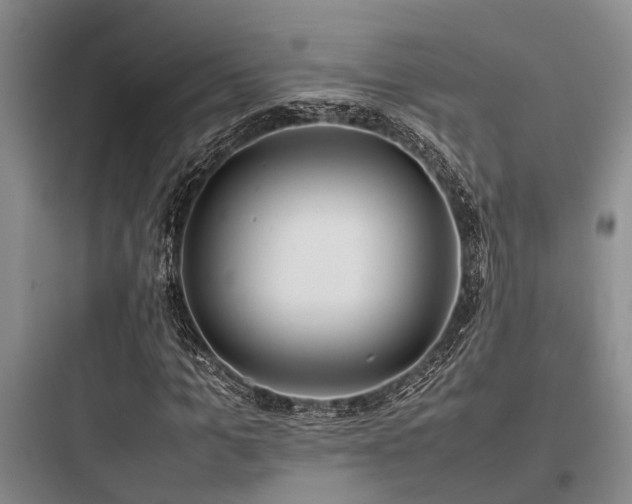 X0000097980965200803241255
