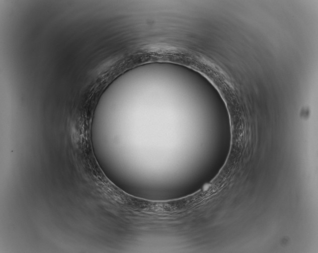 X0000097980966200803241255