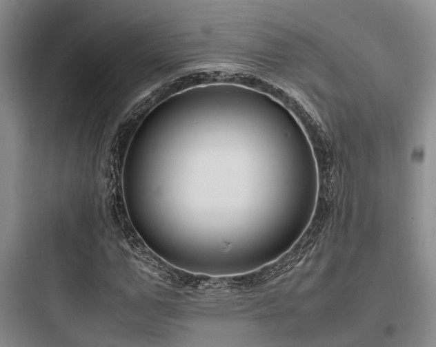 X0000097980967200803241255