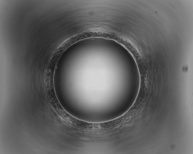 X0000097980968200803241255