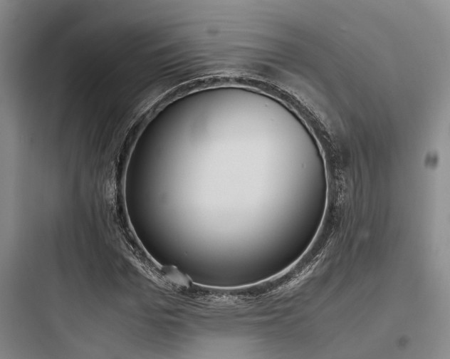 X0000097980969200803241255