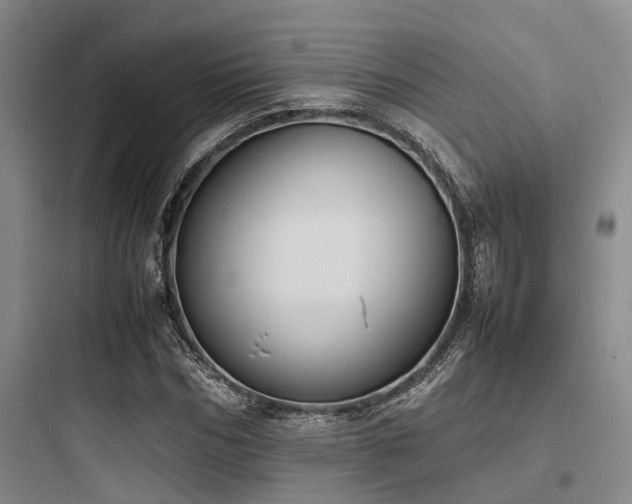 X0000097980970200803241255