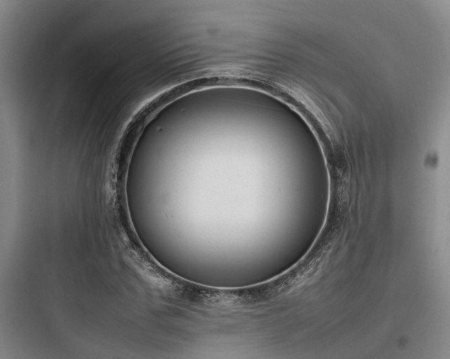 X0000097980971200803241255
