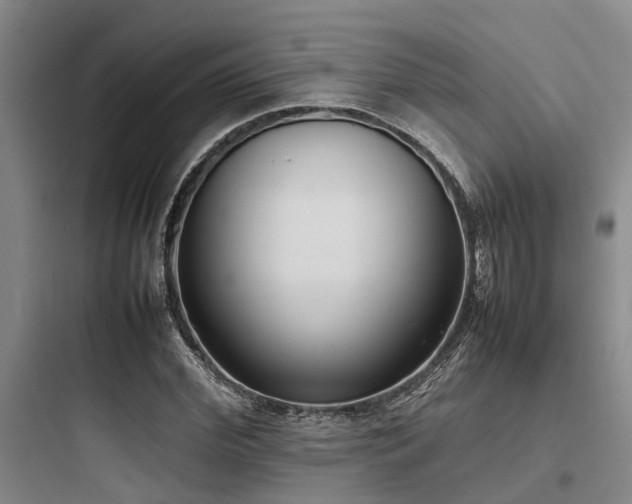 X0000097980972200803241255