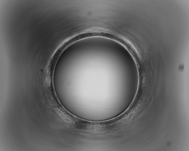 X0000097980973200803241255