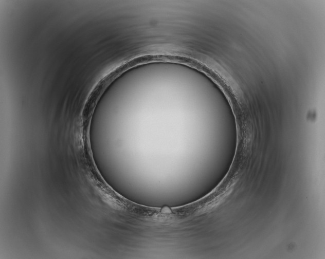 X0000097980974200803241255