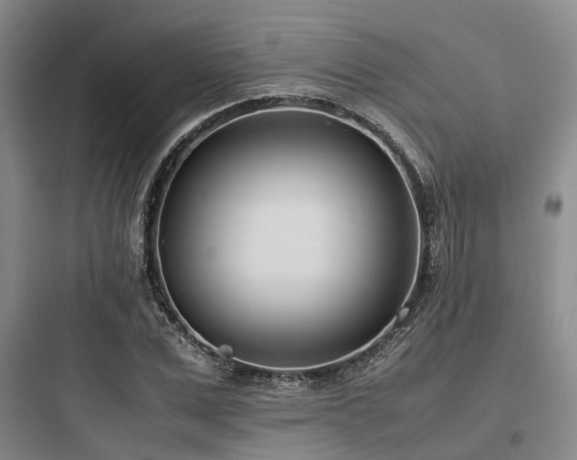 X0000097980975200803241255
