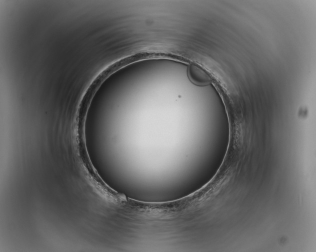 X0000097980976200803241255