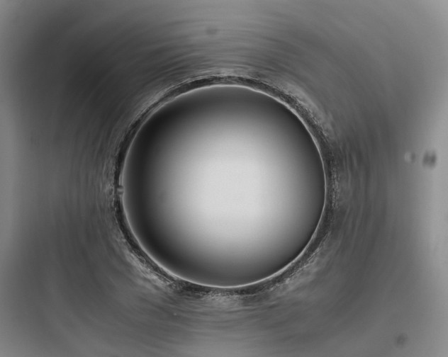 X0000097980977200803241255