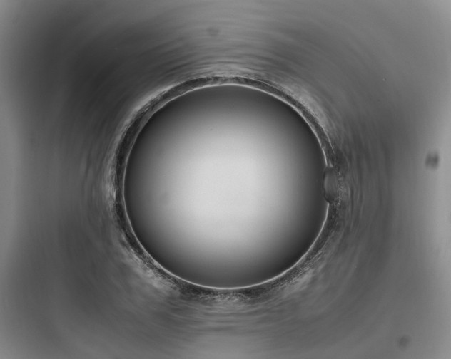 X0000097980979200803241255