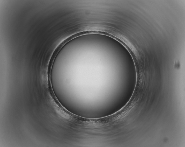 X0000097980980200803241255