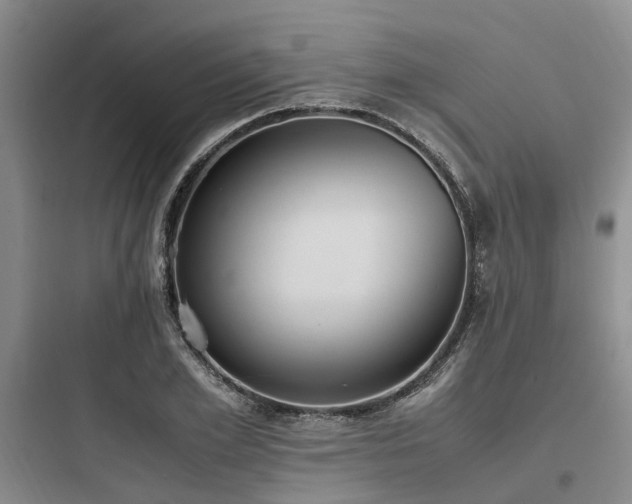 X0000097980981200803241255