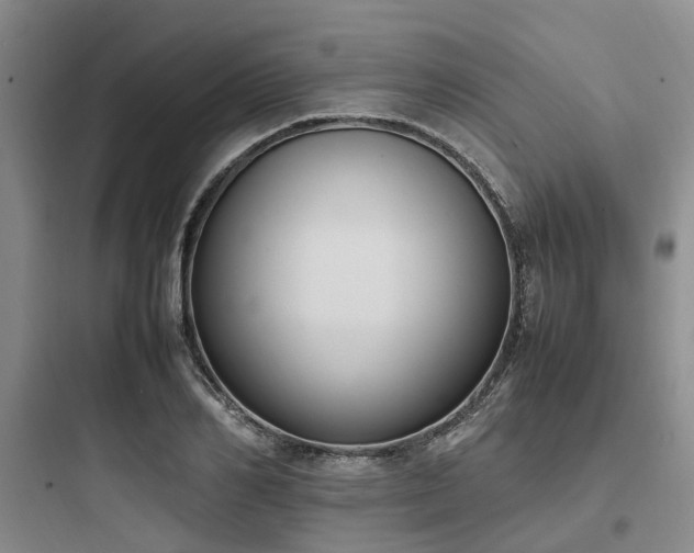 X0000097980982200803241255