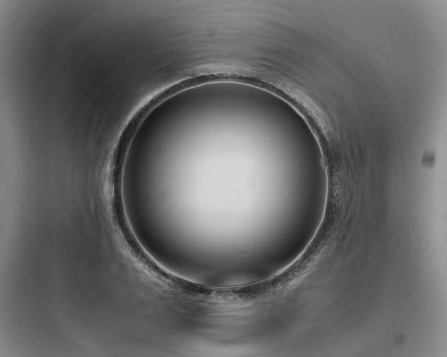 X0000097980983200803241255