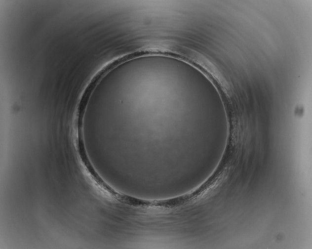 X0000097980984200803241255