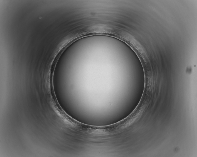 X0000097980986200803241255