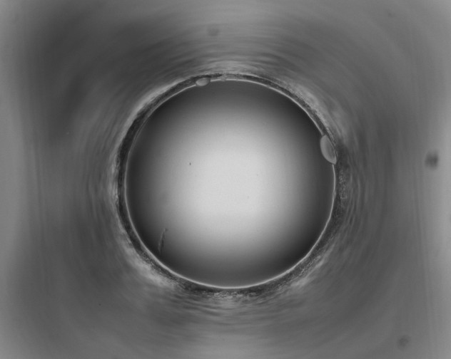 X0000097980987200803241255