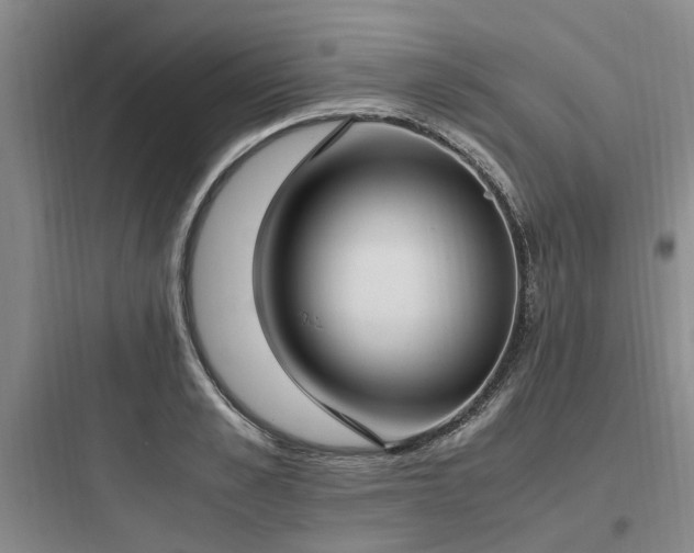 X0000097980989200803241255