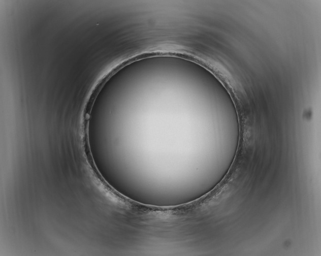 X0000097980990200803241255