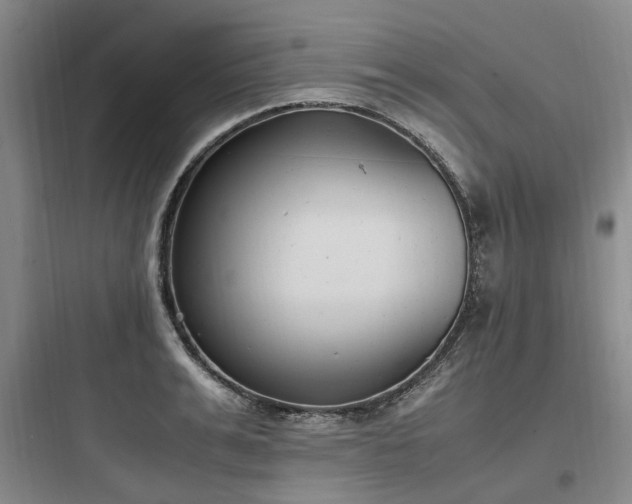 X0000097980991200803241255