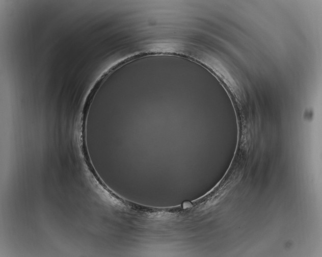 X0000097980992200803241255