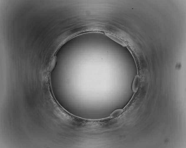 X0000097980993200803241255