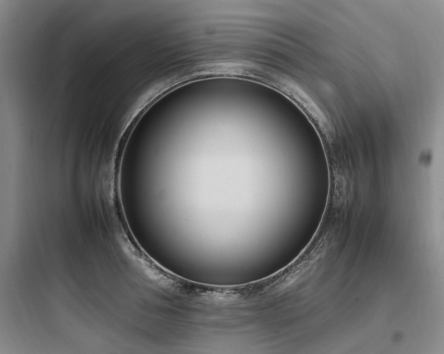 X0000097980994200803241255