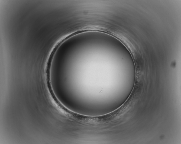 X0000097980995200803241255