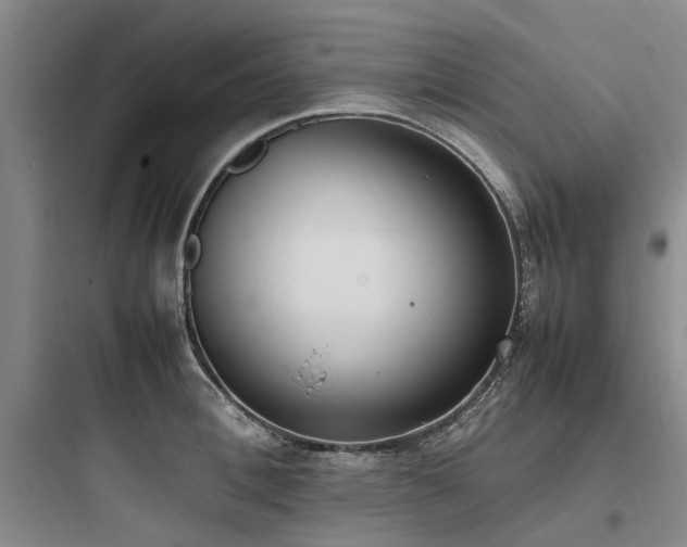 X0000097980996200803241255