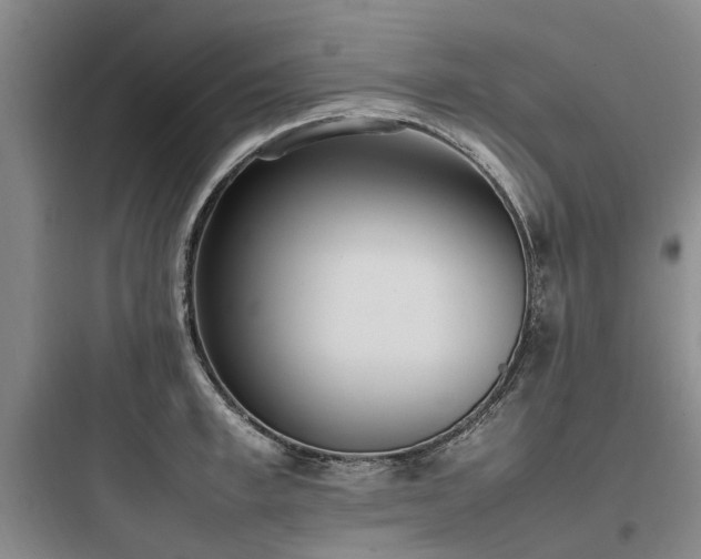 X0000097980997200803241255