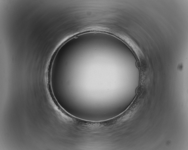 X0000097980999200803241255