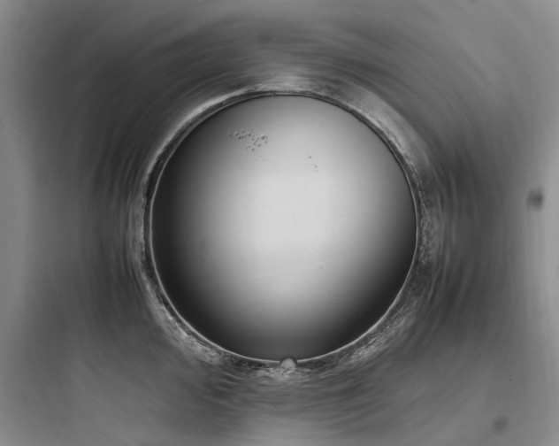 X0000097981000200803241255