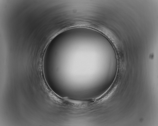 X0000097981001200803241255