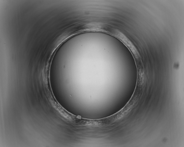X0000097981002200803241255