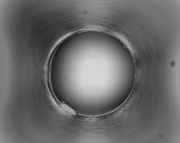 X0000097981003200803241255