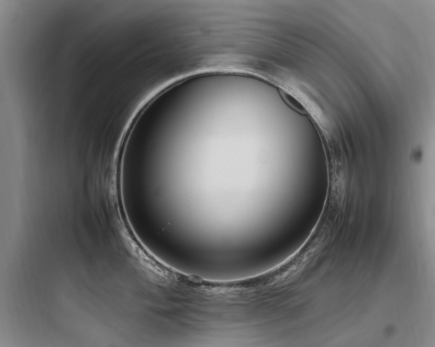 X0000097981004200803241255
