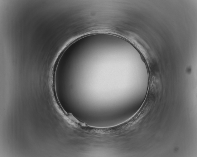 X0000097981005200803241255