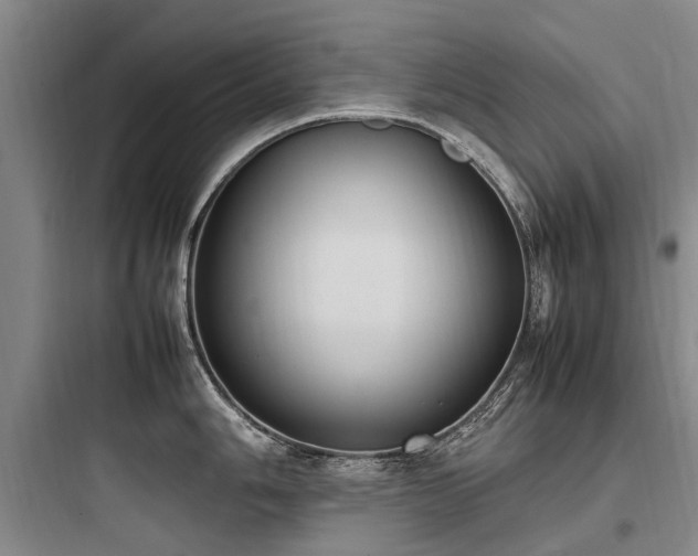 X0000097981006200803241255