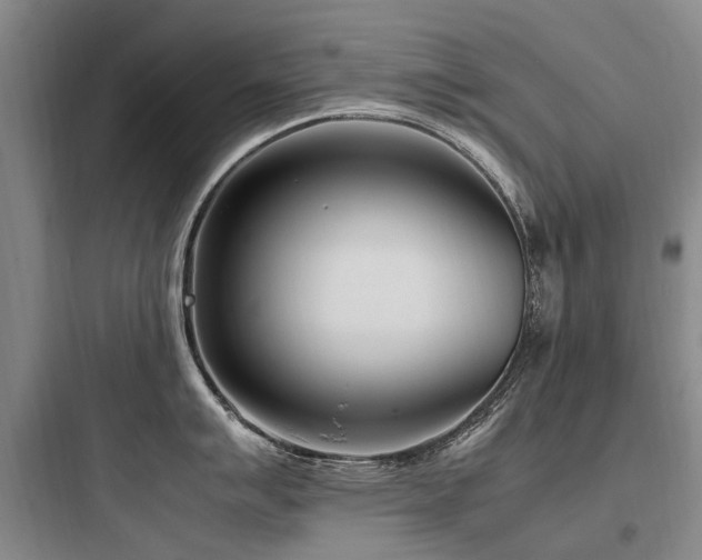 X0000097981007200803241255