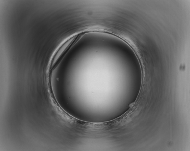 X0000097981008200803241255
